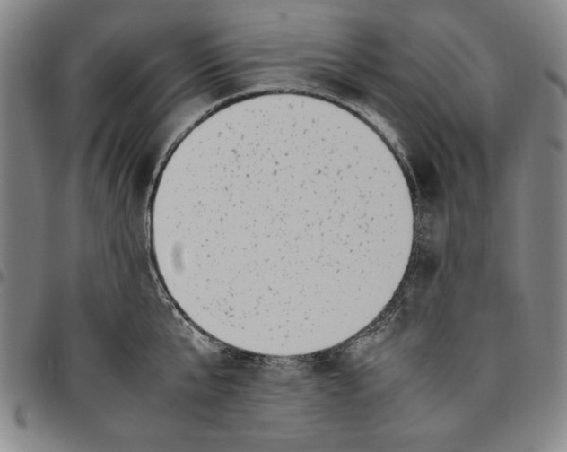 X0000096460807200802211124