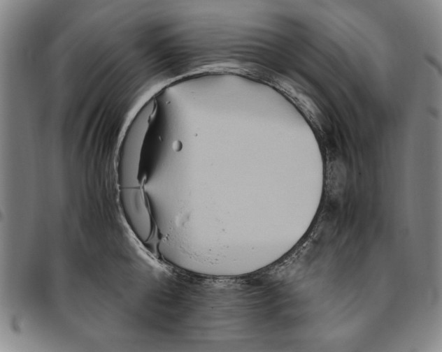 X0000096460808200802211124