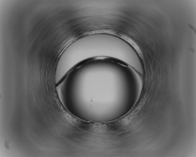 X0000096460809200802211124
