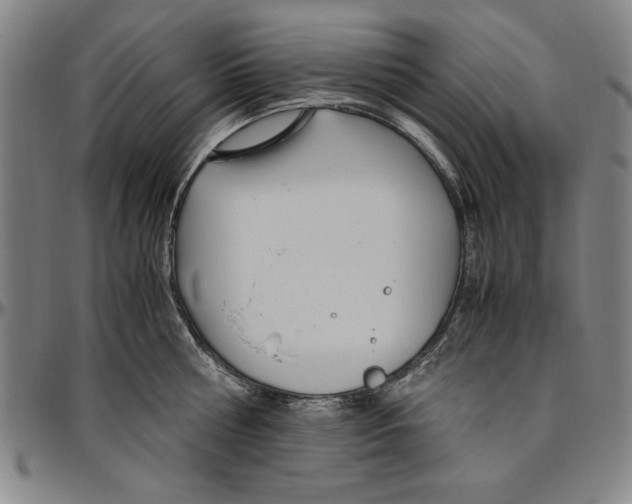 X0000096460810200802211124