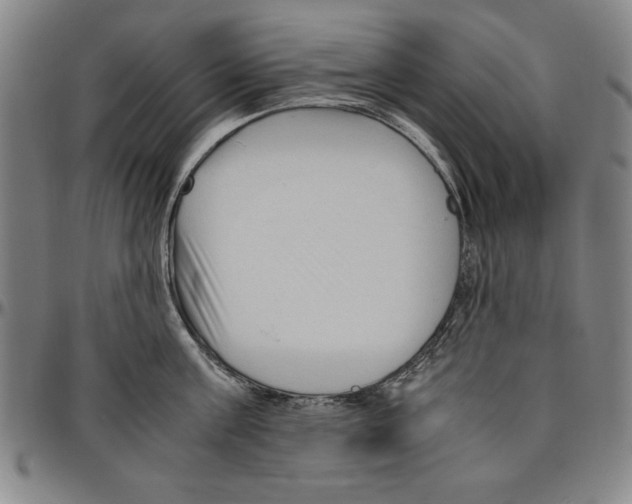 X0000096460811200802211124