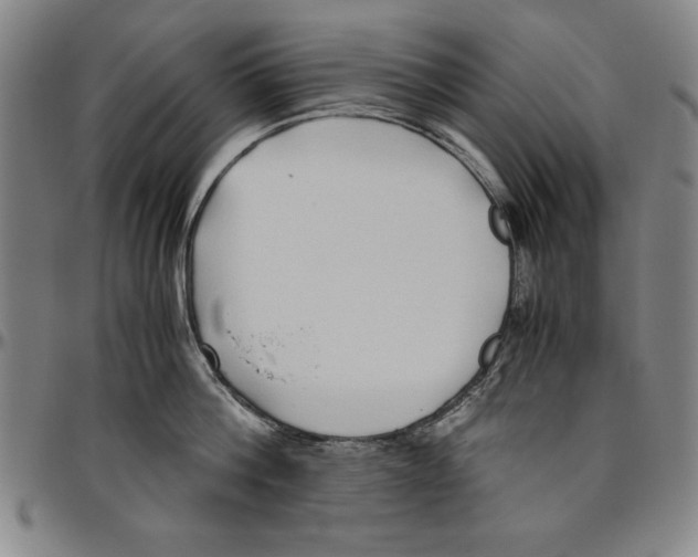 X0000096460812200802211124