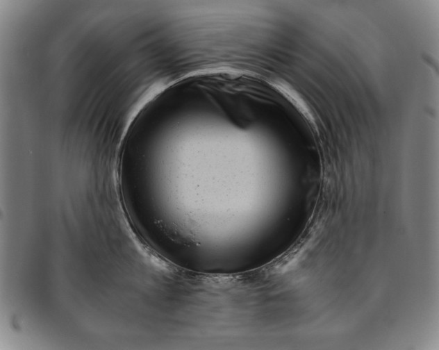 X0000096460813200802211124