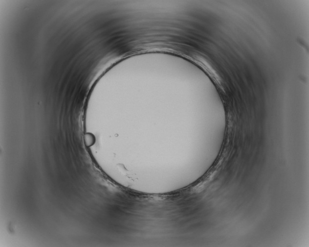 X0000096460814200802211124