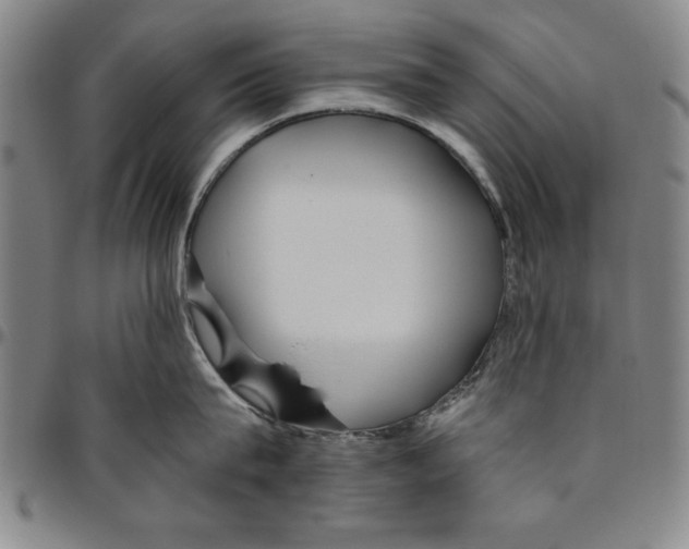 X0000096460815200802211124