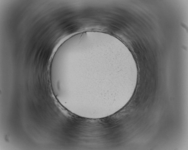 X0000096460816200802211124