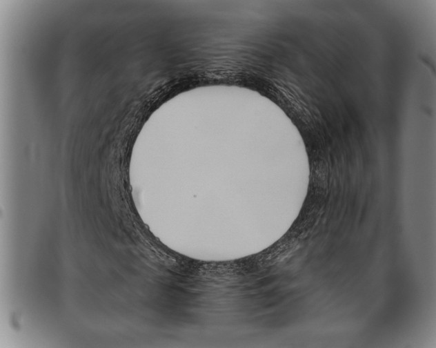 X0000096460817200802211123
