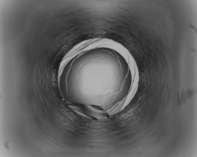 X0000096460818200802211123