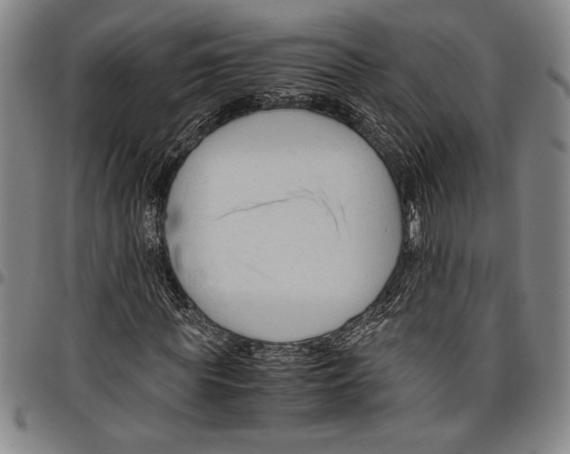 X0000096460819200802211123