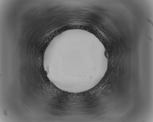 X0000096460821200802211123
