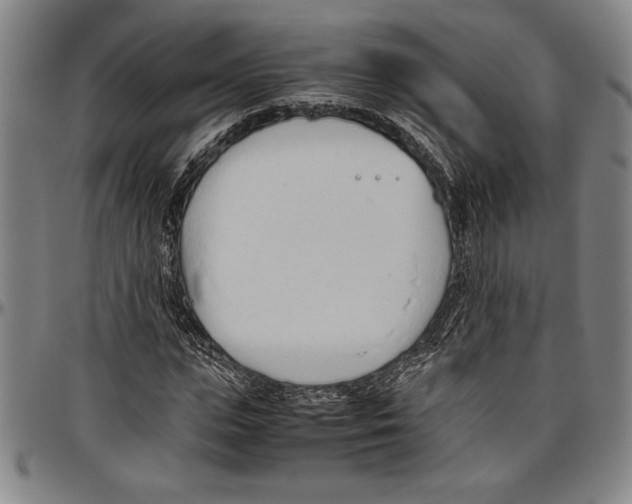 X0000096460823200802211123