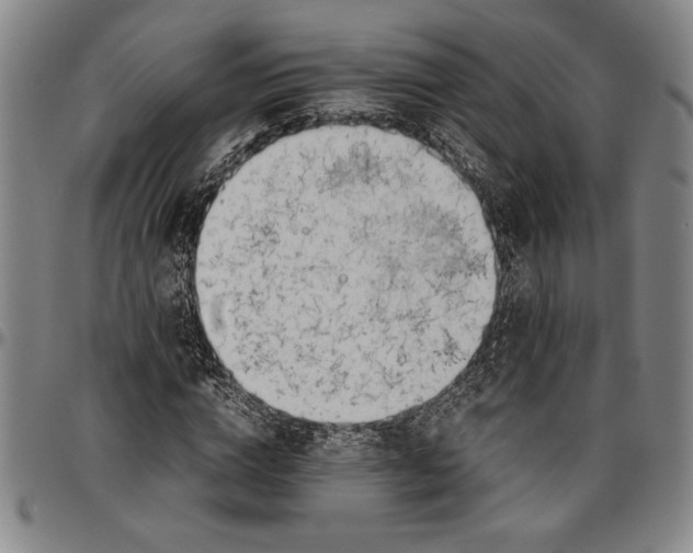 X0000096460824200802211123