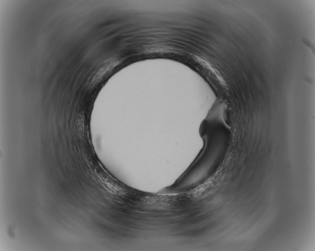 X0000096460825200802211123