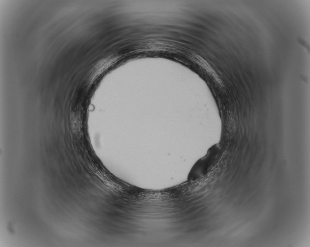 X0000096460826200802211123