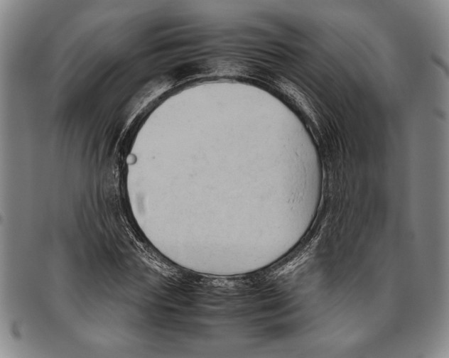 X0000096460827200802211123