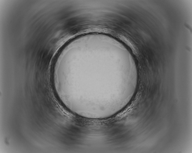X0000096460828200802211123