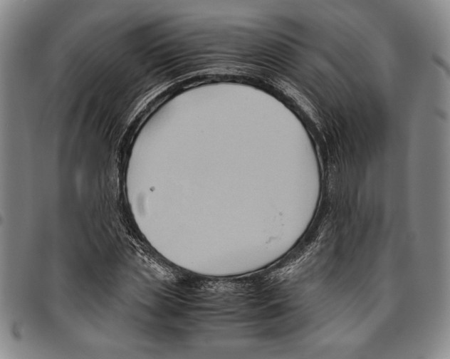 X0000096460829200802211123