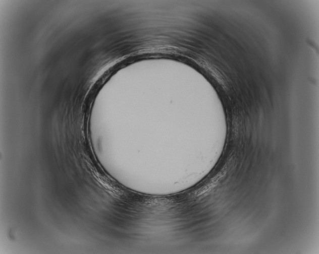 X0000096460830200802211123