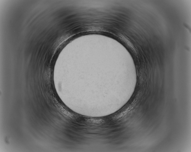 X0000096460831200802211123
