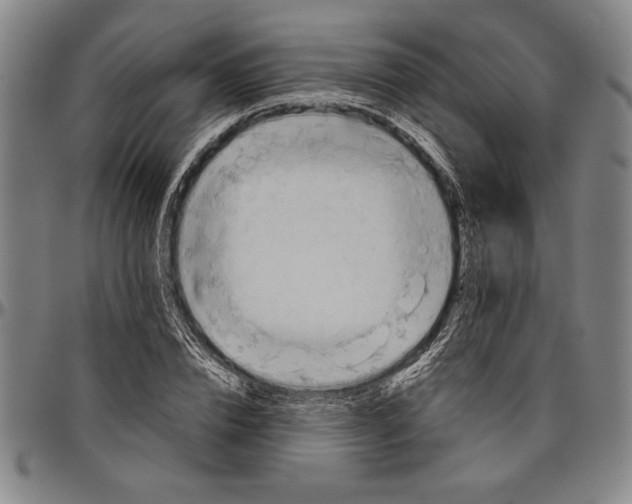 X0000096460832200802211123