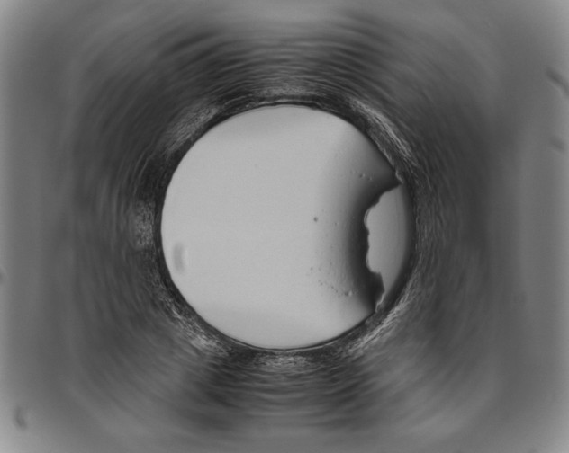 X0000096460833200802211123
