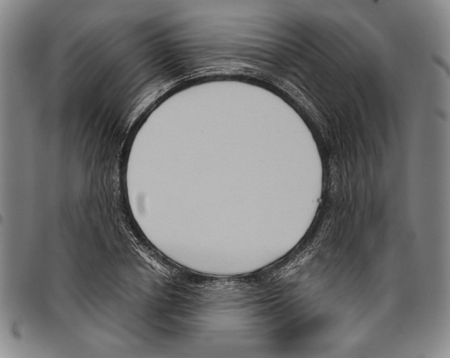 X0000096460834200802211123