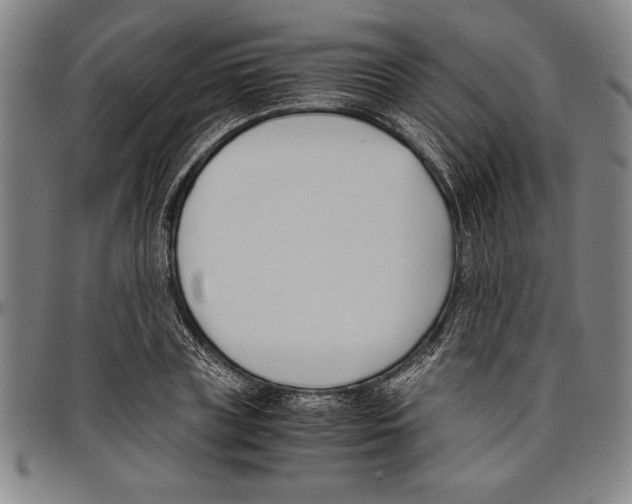 X0000096460835200802211124
