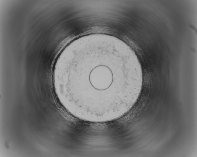 X0000096460836200802211124