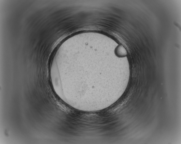 X0000096460837200802211124
