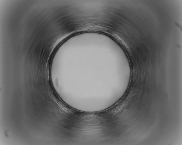 X0000096460838200802211124