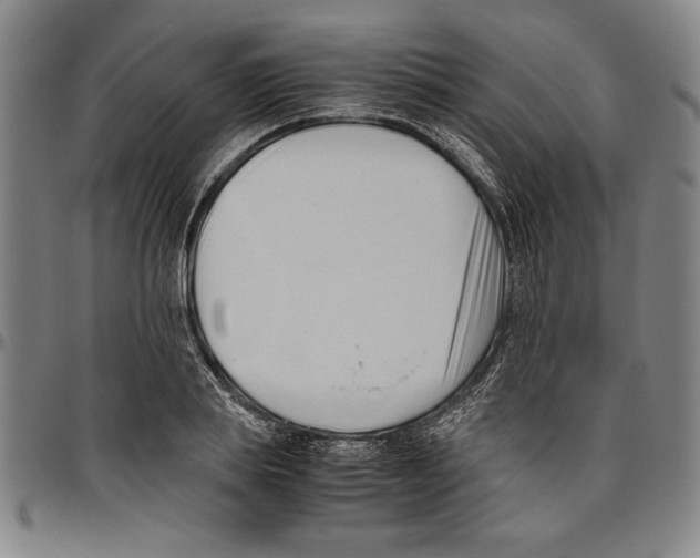 X0000096460839200802211124