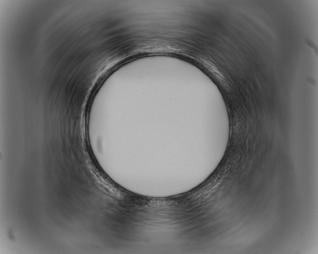 X0000096460840200802211124