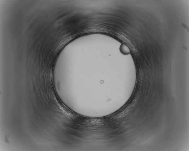 X0000096460841200802211124