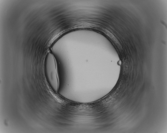 X0000096460842200802211124