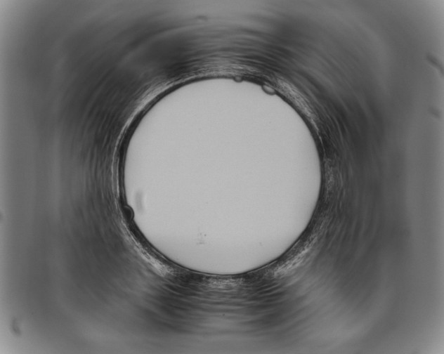 X0000096460843200802211124
