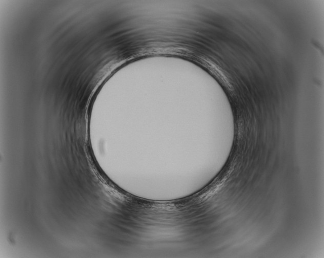 X0000096460844200802211124