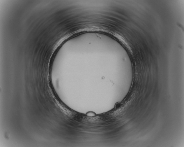 X0000096460845200802211124