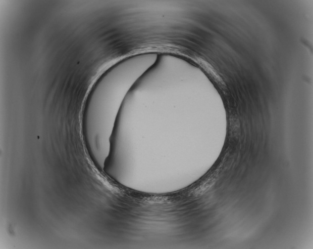 X0000096460846200802211124