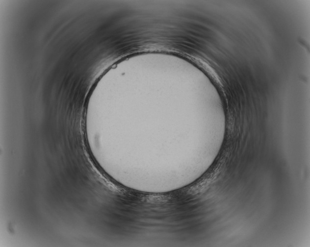 X0000096460847200802211124