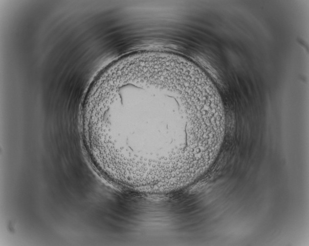 X0000096460848200802211124