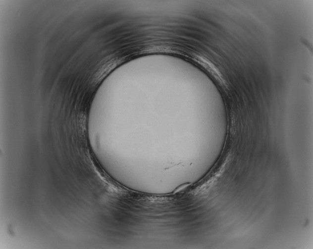 X0000096460849200802211124