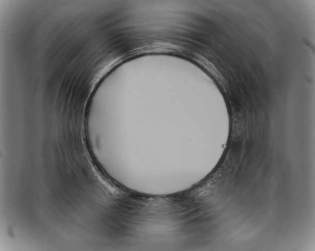X0000096460850200802211124
