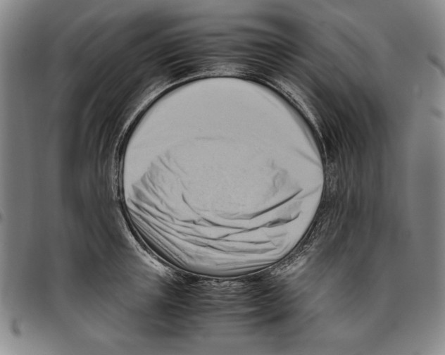 X0000096460851200802211124