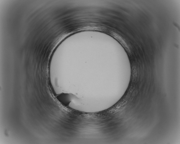 X0000096460852200802211124