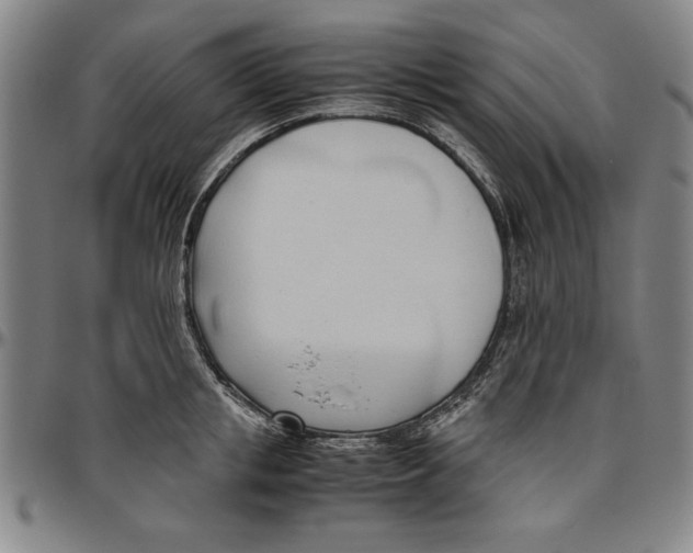 X0000096460853200802211124