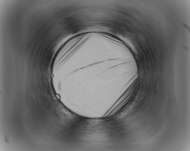 X0000096460854200802211124