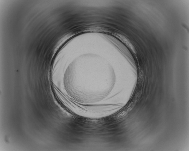 X0000096460855200802211124
