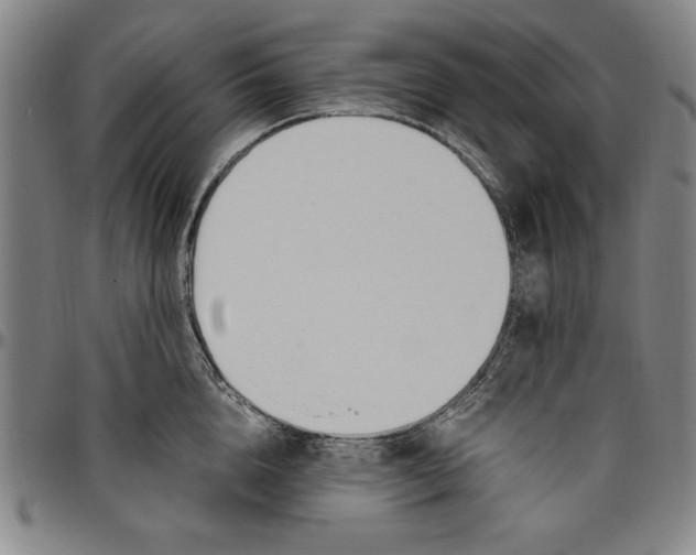 X0000096460856200802211124