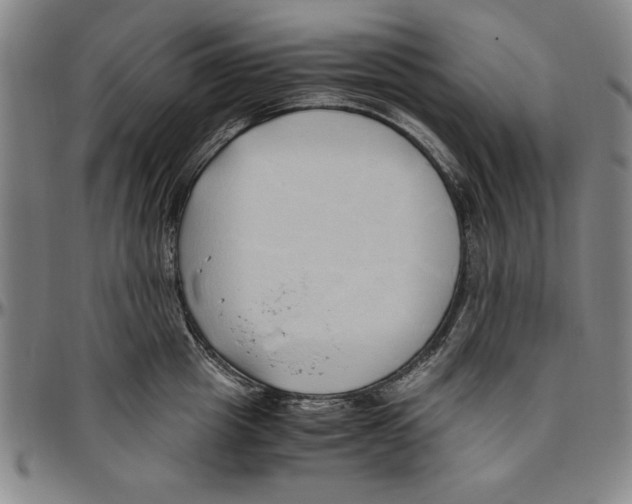 X0000096460857200802211124