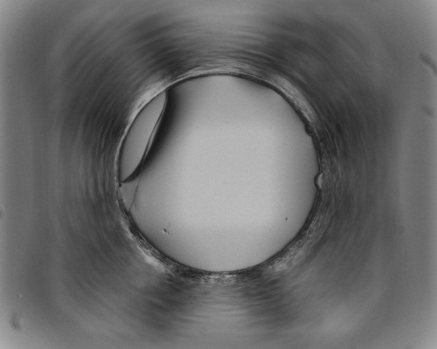 X0000096460858200802211124